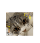 セルカのうめち（個別スタンプ：15）