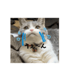 セルカのうめち（個別スタンプ：16）