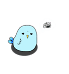 ぷわインコ（個別スタンプ：5）