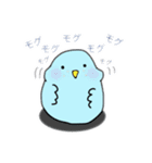 ぷわインコ（個別スタンプ：11）