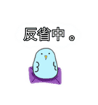 ぷわインコ（個別スタンプ：16）
