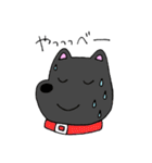 シホさんの犬たちスタンプ（個別スタンプ：7）