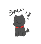 シホさんの犬たちスタンプ（個別スタンプ：10）