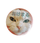 ティナちゃんの癒されスタンプ（個別スタンプ：1）