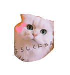 ティナちゃんの癒されスタンプ（個別スタンプ：5）