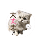 ティナちゃんの癒されスタンプ（個別スタンプ：6）