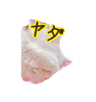 ティナちゃんの癒されスタンプ（個別スタンプ：7）