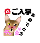 アビにゃん 春ver.（個別スタンプ：1）