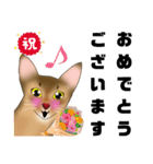 アビにゃん 春ver.（個別スタンプ：2）