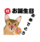 アビにゃん 春ver.（個別スタンプ：3）