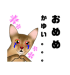 アビにゃん 春ver.（個別スタンプ：8）