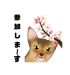 アビにゃん 春ver.（個別スタンプ：9）