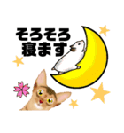 アビにゃん 春ver.（個別スタンプ：34）