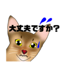 アビにゃん 春ver.（個別スタンプ：40）