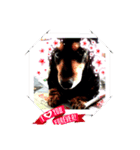 マロンLOVE2（個別スタンプ：14）
