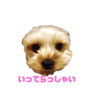 陽気なヨ–キ–ハウル君（個別スタンプ：6）