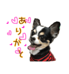 れおとらい（個別スタンプ：5）