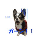 れおとらい（個別スタンプ：18）