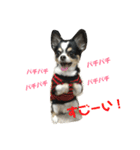 れおとらい（個別スタンプ：20）