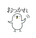 いつもインコたちと一緒に 5（個別スタンプ：3）