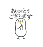 いつもインコたちと一緒に 5（個別スタンプ：4）