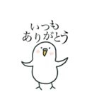 いつもインコたちと一緒に 5（個別スタンプ：6）