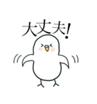 いつもインコたちと一緒に 5（個別スタンプ：9）