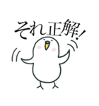 いつもインコたちと一緒に 5（個別スタンプ：10）