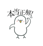 いつもインコたちと一緒に 5（個別スタンプ：11）