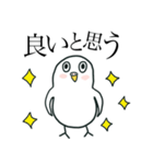 いつもインコたちと一緒に 5（個別スタンプ：14）