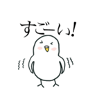 いつもインコたちと一緒に 5（個別スタンプ：15）