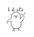 いつもインコたちと一緒に 5（個別スタンプ：16）