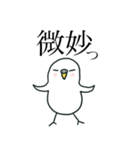 いつもインコたちと一緒に 5（個別スタンプ：19）