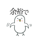 いつもインコたちと一緒に 5（個別スタンプ：21）