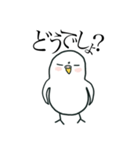 いつもインコたちと一緒に 5（個別スタンプ：24）