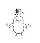 いつもインコたちと一緒に 5（個別スタンプ：29）
