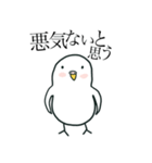 いつもインコたちと一緒に 5（個別スタンプ：33）