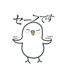 いつもインコたちと一緒に 5（個別スタンプ：34）