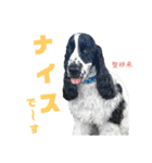九州インギーズだよ全員集合 vol.2（個別スタンプ：1）