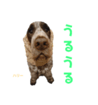 九州インギーズだよ全員集合 vol.2（個別スタンプ：4）