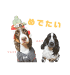 九州インギーズだよ全員集合 vol.2（個別スタンプ：5）