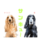 九州インギーズだよ全員集合 vol.2（個別スタンプ：6）