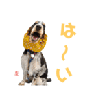 九州インギーズだよ全員集合 vol.2（個別スタンプ：9）