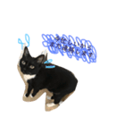 mypet juju（個別スタンプ：2）