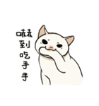 子猫のチキン（個別スタンプ：1）