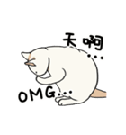 子猫のチキン（個別スタンプ：7）