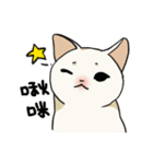 子猫のチキン（個別スタンプ：8）