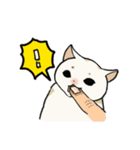 子猫のチキン（個別スタンプ：10）