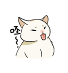 子猫のチキン（個別スタンプ：13）
