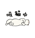 子猫のチキン（個別スタンプ：14）